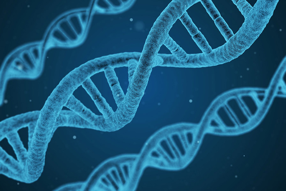 DNA Tests-Change Behavior?